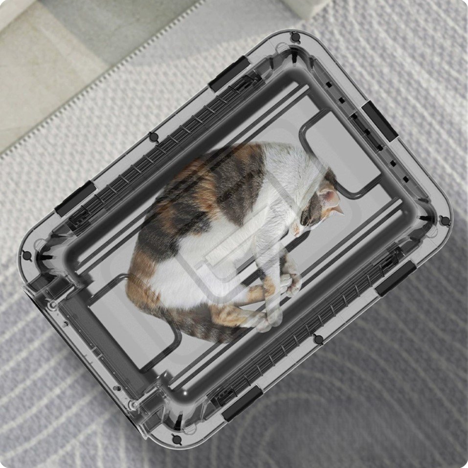 Bangke Aviation Plastic Portable Cat Dog Luxury Air Carrier Cage Airline Approved Pet Travel Box